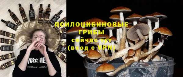 амф Алзамай